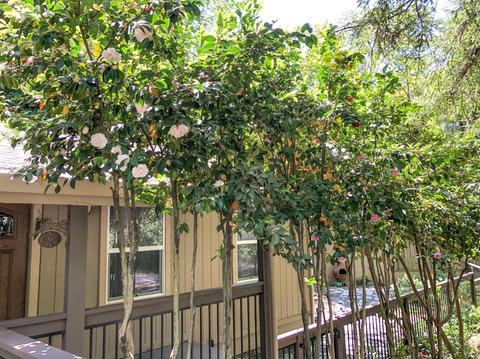 1778 Smith Flat Rd, Placerville, CA 95667 photo 22