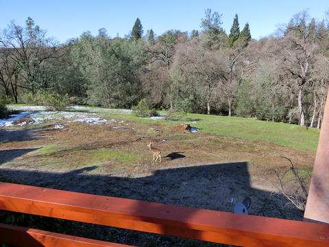 665 Allen Ct, Placerville, CA 95667 photo 20