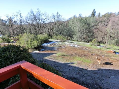 665 Allen Ct, Placerville, CA 95667 photo 19