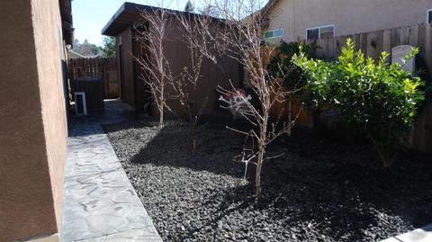 854 Driscol Dr, Galt, CA 95632 photo 28