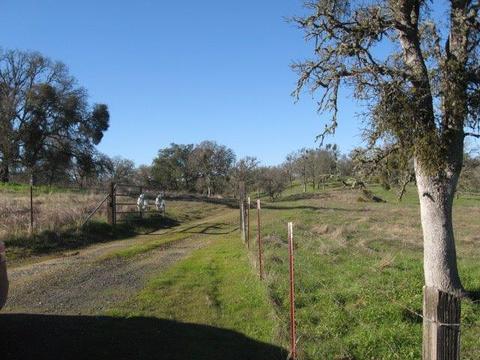 2612 Singletree, Copperopolis, CA 95228 photo 12
