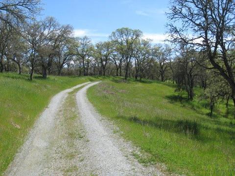 2612 Singletree, Copperopolis, CA 95228 photo 18