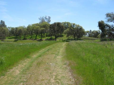 2612 Singletree, Copperopolis, CA 95228 photo 20