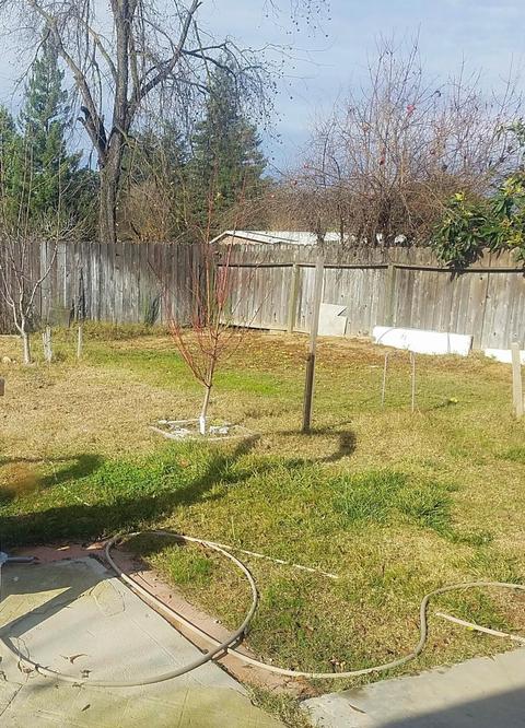 7335 Mackenzie Ave, Winton, CA 95388 photo 21