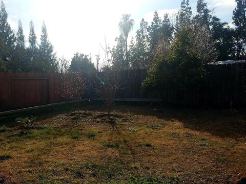 7335 Mackenzie Ave, Winton, CA 95388 photo 20