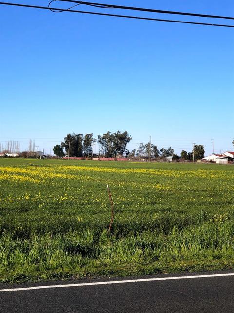 12349 E Harney Ln, Lodi, CA 95240 photo 1