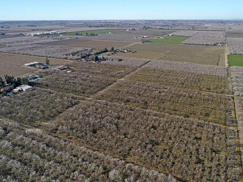 5624 N Walnut Rd, Turlock, CA 95382 photo 72