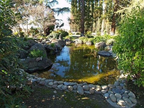 5624 N Walnut Rd, Turlock, CA 95382 photo 29