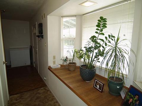 4833 Berkeley Rd, Hughson, CA 95326 photo 7