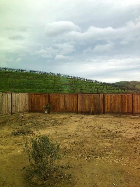 21104 Varietal Ct, Patterson, CA 95363 photo 28