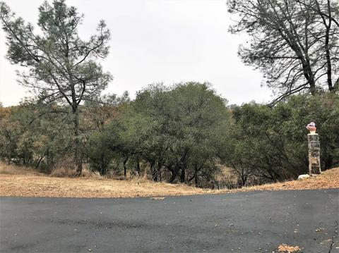 3987 Conestoga, Copperopolis, CA 95228 photo 21