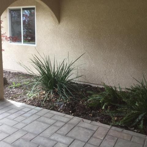 2805 Laramie Dr, Modesto, CA 95355 photo 18