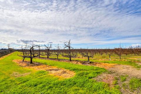 13851 Isleton Rd, Isleton, CA 95641 photo 32