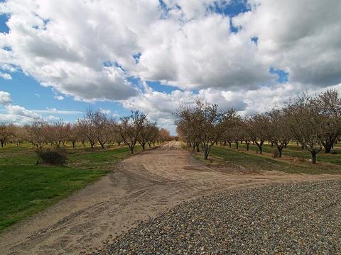 12810 Pepper St, Turlock, CA 95380 photo 31