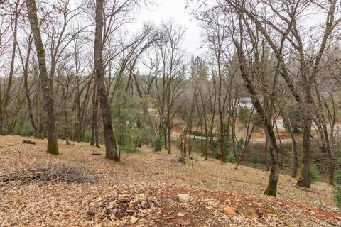 1275 Crow Haven Ct, Colfax, CA 95713 photo 30