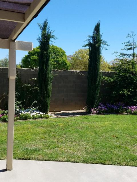 844 N Central Ave, Modesto, CA 95351 photo 4