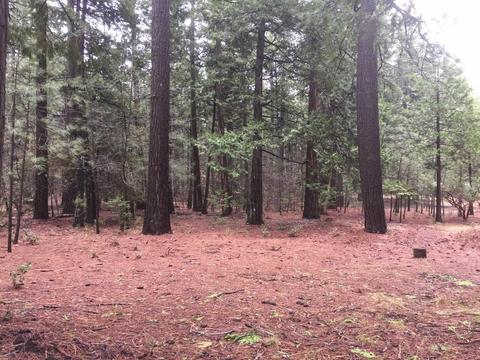 19610 Lockwood Ln, Volcano, CA 95689 photo 21