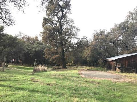 6880 Wise Rd, Auburn, CA 95603 photo 2