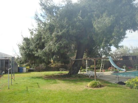 552 El Roya Ave, Modesto, CA 95354 photo 8