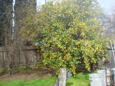 552 El Roya Ave, Modesto, CA 95354 photo 22