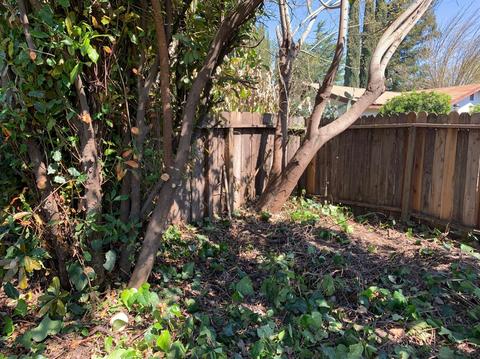 1824 Hunt Ave, Modesto, CA 95350 photo 34