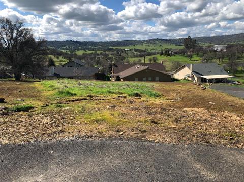 3640 Snowbird Ct, Copperopolis, CA 95228 photo 4