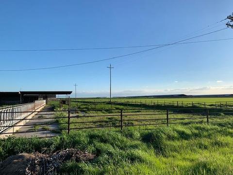 27052 Carter Rd, Escalon, CA 95320 photo 4