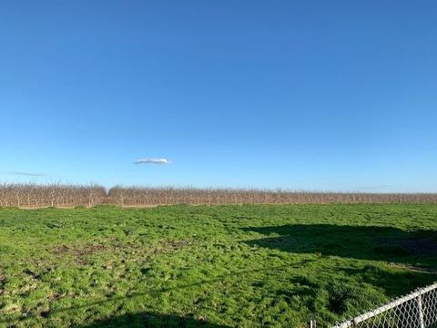 27052 Carter Rd, Escalon, CA 95320 photo 17