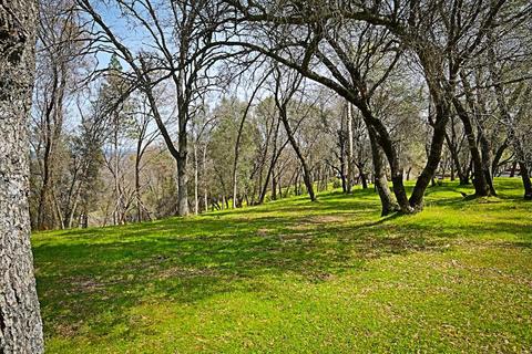 6481 Barton Ln, Placerville, CA 95667 photo 35