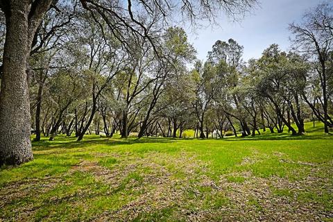 6481 Barton Ln, Placerville, CA 95667 photo 36