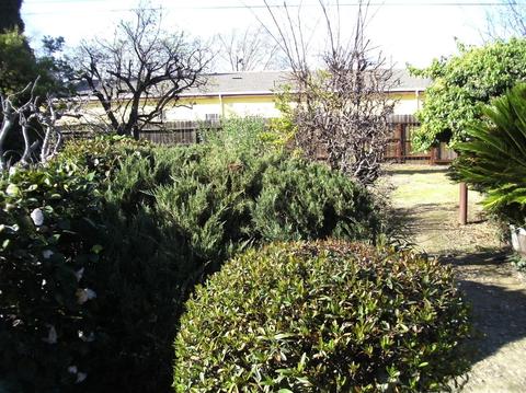 533 E Tokay St, Lodi, CA 95240 photo 25