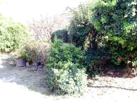 533 E Tokay St, Lodi, CA 95240 photo 29