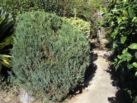 533 E Tokay St, Lodi, CA 95240 photo 26