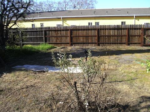 533 E Tokay St, Lodi, CA 95240 photo 28