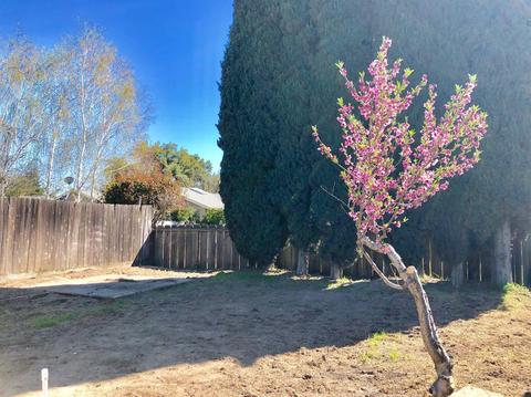 1624 Marty Ct, Modesto, CA 95350 photo 17