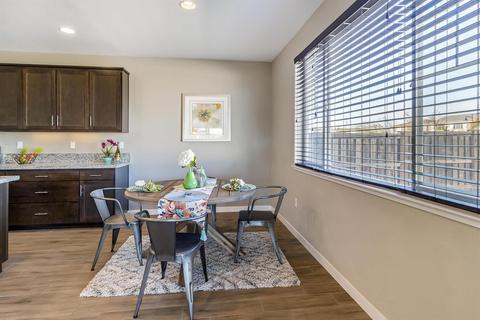 18409 Pilot Ct, Lathrop, CA 95330 photo 16