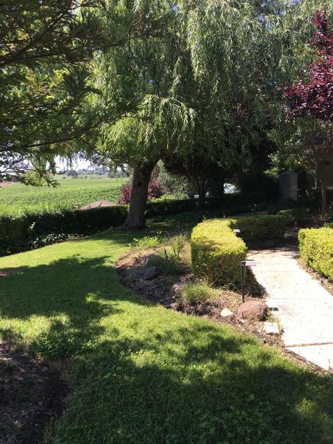 18591 E Almond Ct, Clements, CA 95227 photo 32