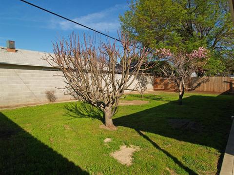 1701 Dillon Dr, Modesto, CA 95350 photo 30