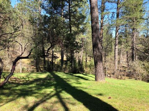 1006 Sage Rd, Colfax, CA 95713 photo 28