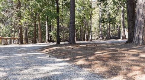 25093 Overland Dr, Volcano, CA 95689 photo 2