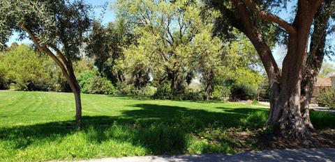 3029 Mallorca Ln, Davis, CA 95618 photo 46