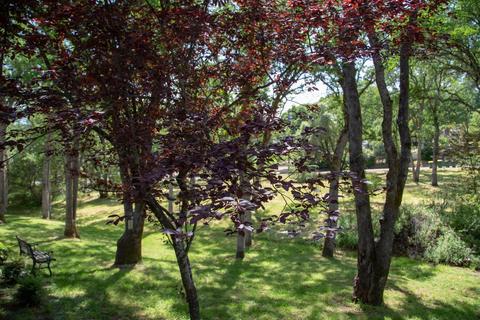 6280 Laurel Ln, Placerville, CA 95667 photo 46