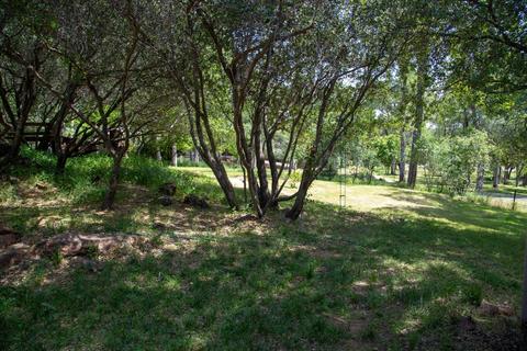 6280 Laurel Ln, Placerville, CA 95667 photo 31