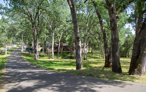 6280 Laurel Ln, Placerville, CA 95667 photo 4