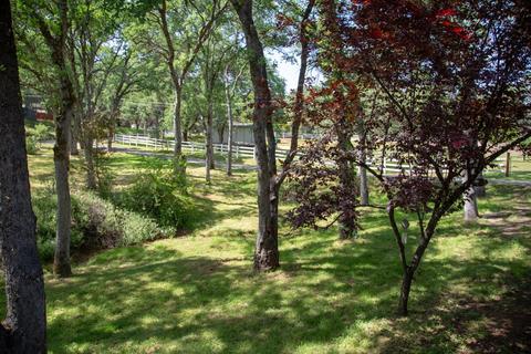 6280 Laurel Ln, Placerville, CA 95667 photo 43