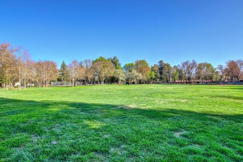 2619 Blackburn Dr, Davis, CA 95618 photo 41