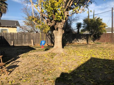 5216 8th St, Keyes, CA 95328 photo 23