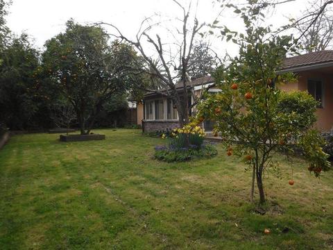 6321 Kiernan Dr, Carmichael, CA 95608 photo 23