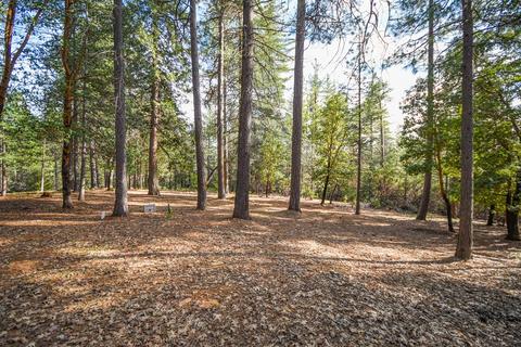 6265 Pine Needle Ln, Placerville, CA 95667 photo 38