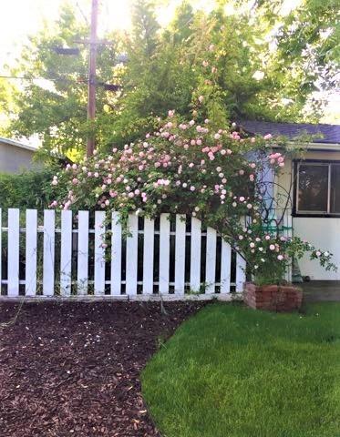 5537 Whitfield Way, Carmichael, CA 95608 photo 57